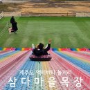제주도 액티비티 썰매장 체험 삼다마을목장 애견동반 내돈내산 후기