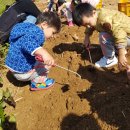 정남농촌체험휴양마을 이미지