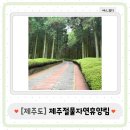 절물 | [제주도] 진정한 자연을 느낄 수 있는 삼나무 숲길 코스의 제주절물자연휴양림 방문 후기