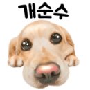 지니펫살롱 이미지