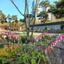 선학농장 이미지