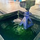 오토오아시스 김해가락점 이미지