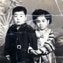 무궁화사진관 이미지