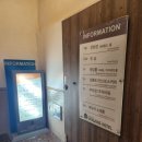 디아모 | 부산바다뷰브런치 해동용궁사근처맛집 디아모 맛점후기!!