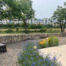 도평커피 이미지