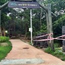 입화산참살이숲야영장 이미지