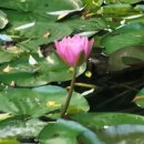 외정공원 이미지