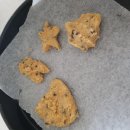 C0260 | 초코칩 쿠키믹스 만들기 쿠키반죽 망했으나 맛은 있네