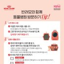 로얄동물병원 이미지