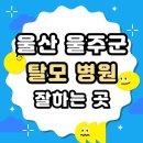 울산 울주군 탈모 전문 병원 치료 잘하는 병원 List