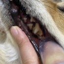 우리아이 동물메디컬센터 이미지