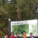 로하스복싱클럽 이미지