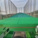 대일골프랜드 이미지