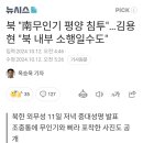 북 "남 무인기 평양 침투"..."북 내부 소행일수도" 이미지