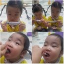 아기유산균☞프로바이오틱스☜소개합니다ᵔᗜᵔ*