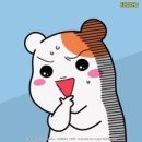 미미네강아지 이미지