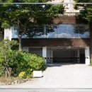 나나애견 이미지