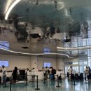 국제비지니스호텔W | W 몰디브 체크인 | 몰디브 수상비행기 후기 꿀팁 | 말레 벨레나 국제공항 라운지