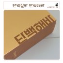 단백해 | 다이어트간식 단백질바 저당 프로틴바 땅콩맛 단백해바 후기