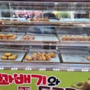 꽈배기와 동그리 이미지
