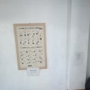 연세 여성헬스 이미지