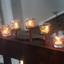 하얀허브 이미지