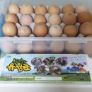 순분농장 이미지