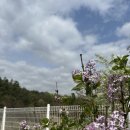 구름멍스테이 이미지