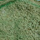 진생농장 이미지