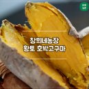 창희네 농장 이미지