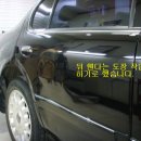에스엠덴트