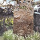 무주곤충박물관 이미지