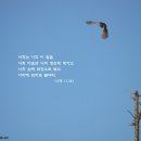 서울주보(2008년6월1일) 이미지