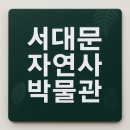 서대문자연사박물관 | [내돈내방] 서대문자연사박물관 공룡 전시 후기 | 서울 아이와 가볼만한 곳