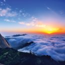 일출로3 이미지