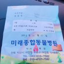 미래종합동물병원 이미지
