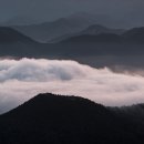 바람이 좋은 저녁 이미지