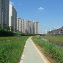 저수지길 이미지