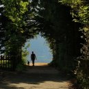 서울일등재활의학과의원 이미지