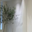 무진가든 | W3. 촬영드레스) 라포레 지정 가봉 후기! 6벌 피팅 후 드레스 4벌 셀렉 팁 ✨