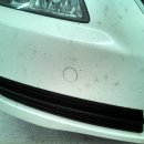 그루밍 스팟 이미지