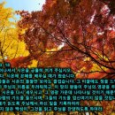 성읍102
