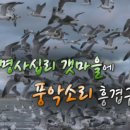 홍영선볶은곡식 건강생활