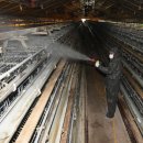 중대농장 이미지