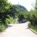 소나무주유소 이미지