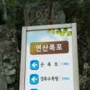 상옥프로폴리스 이미지