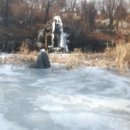 얼음왕국 Daum카페