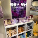 T.G.I.F 롯데백화점 부산본점 | 부산 뜨개인 앵콜스 2호점 부산매장 롯데백화점 부산본점 방문후기