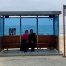 NR-6[경강로]-하-205 | 강릉 1박2일 / 완벽했던 가을여행코스 / 호린파크 사천진바위섬 월화야시장 탑스텐호텔 안목해변 도깨비...