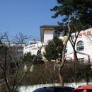 노벨생태어린이집 이미지